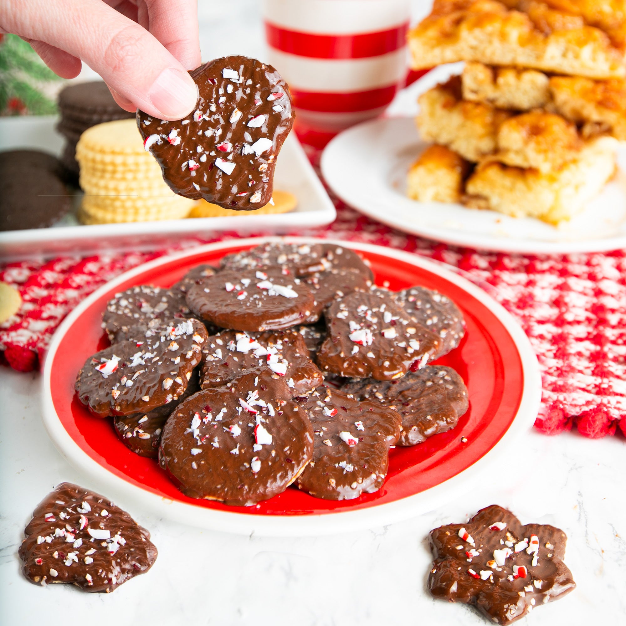 Chocolate Enrobed Peppermint Cookies in Holiday Shapes (Pack of 2)