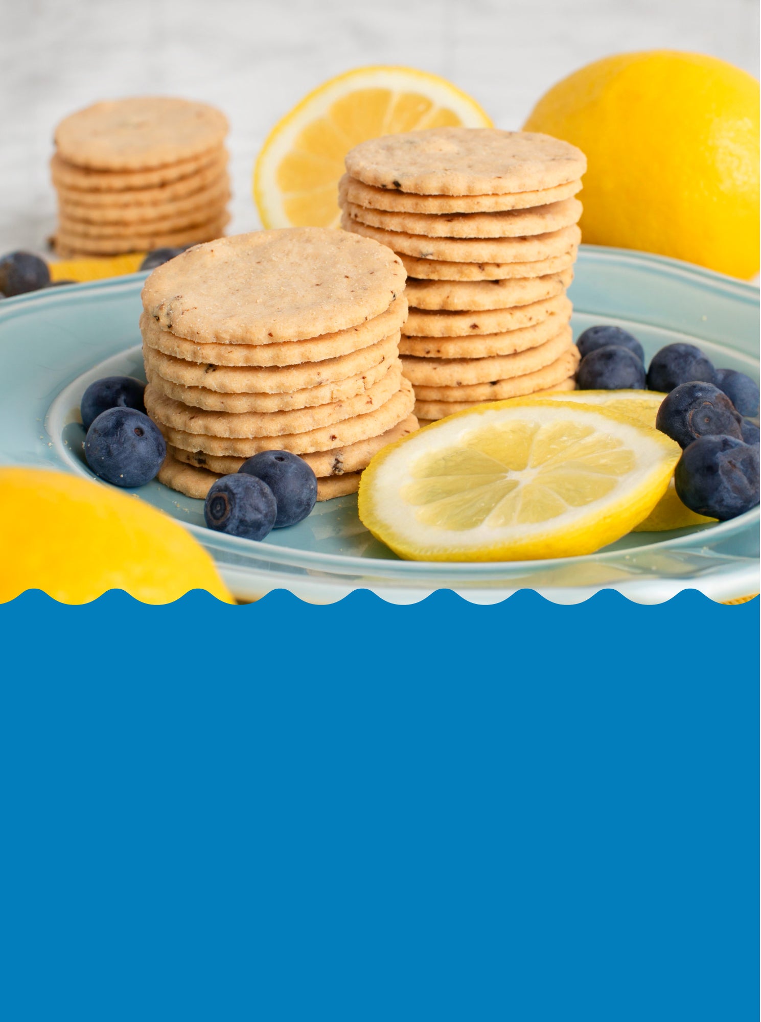 <p>BLUEBERRY LEMON COOKIES are back for a limited time!</p>