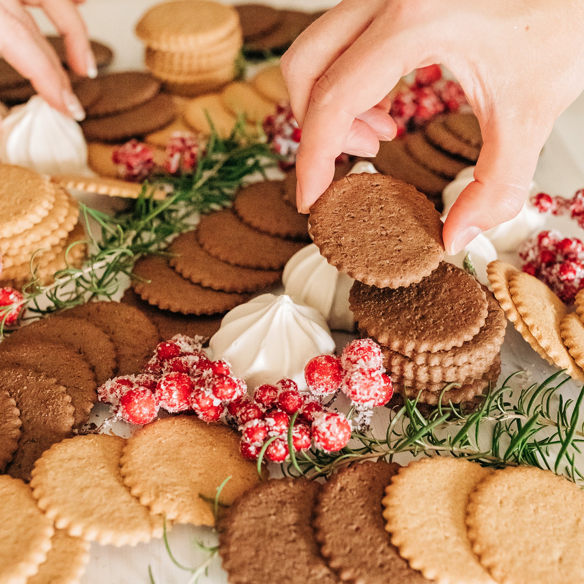 Hot Cocoa, Gingerbread, and Pumpkin Cookies, 3-9oz boxes