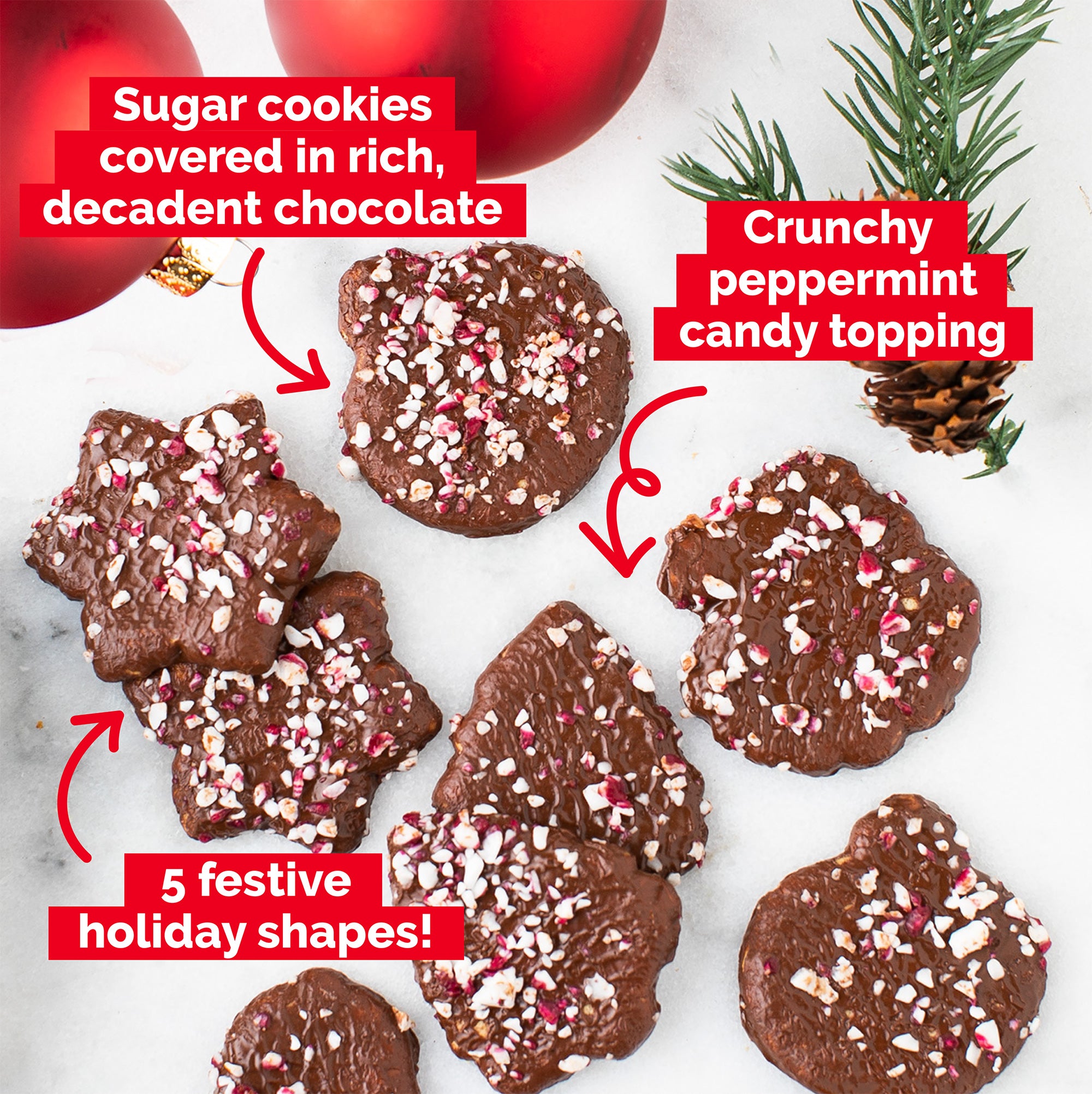Chocolate Enrobed Peppermint Cookies in Holiday Shapes (Pack of 2)