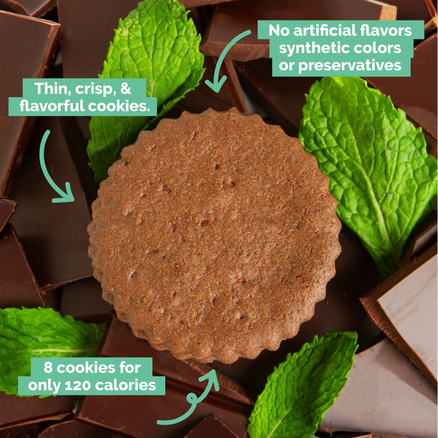 Dark Chocolate Mint Cookies 2-Pack, 18oz