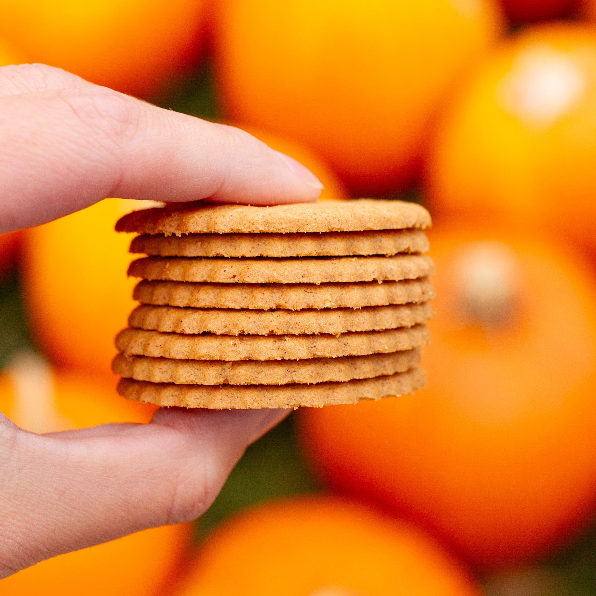 Pumpkin Spice Cookies 2-Pack, 18oz