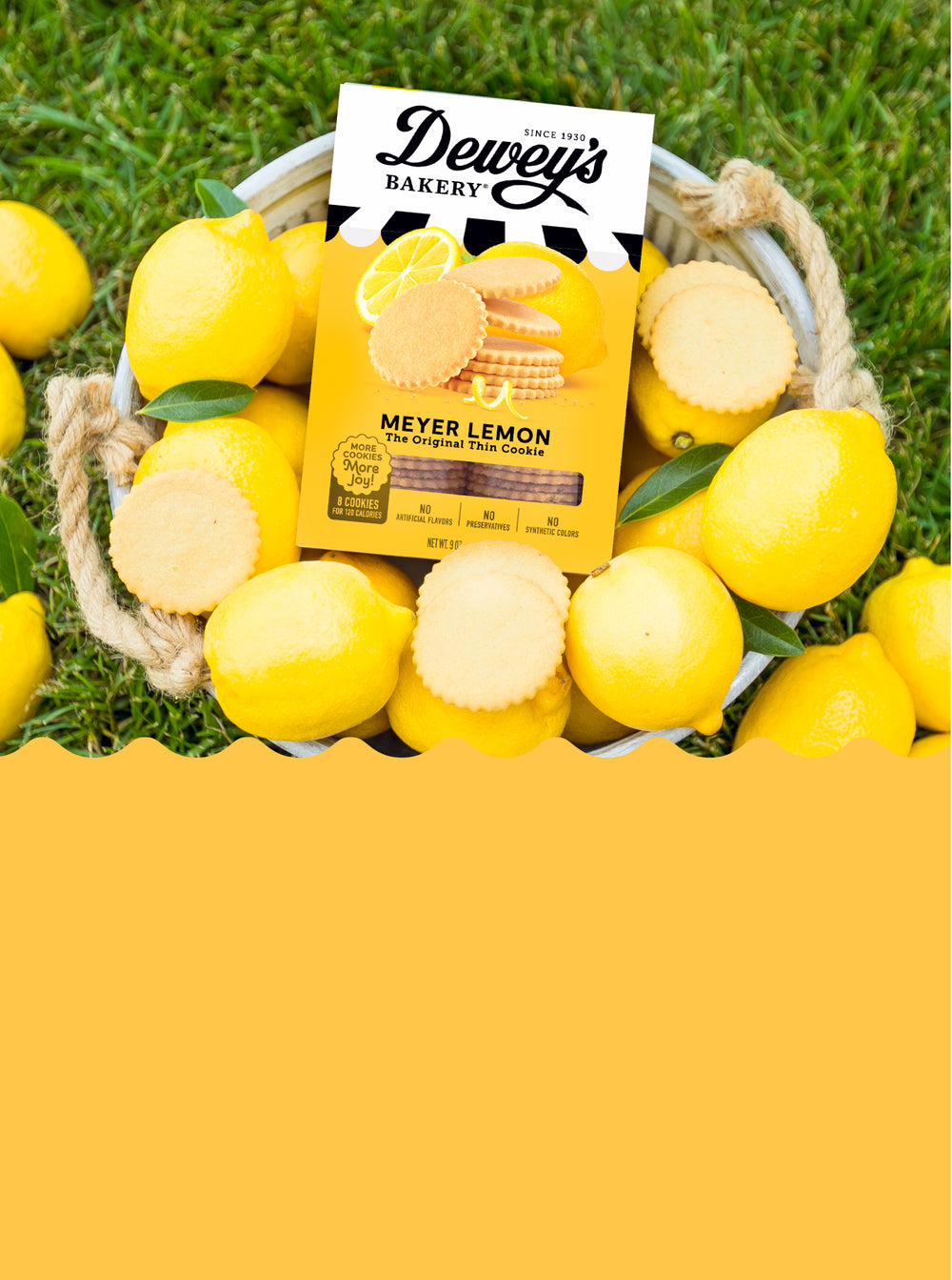 <p>FREE Lemon Cookies on orders $50 and up!</p>
