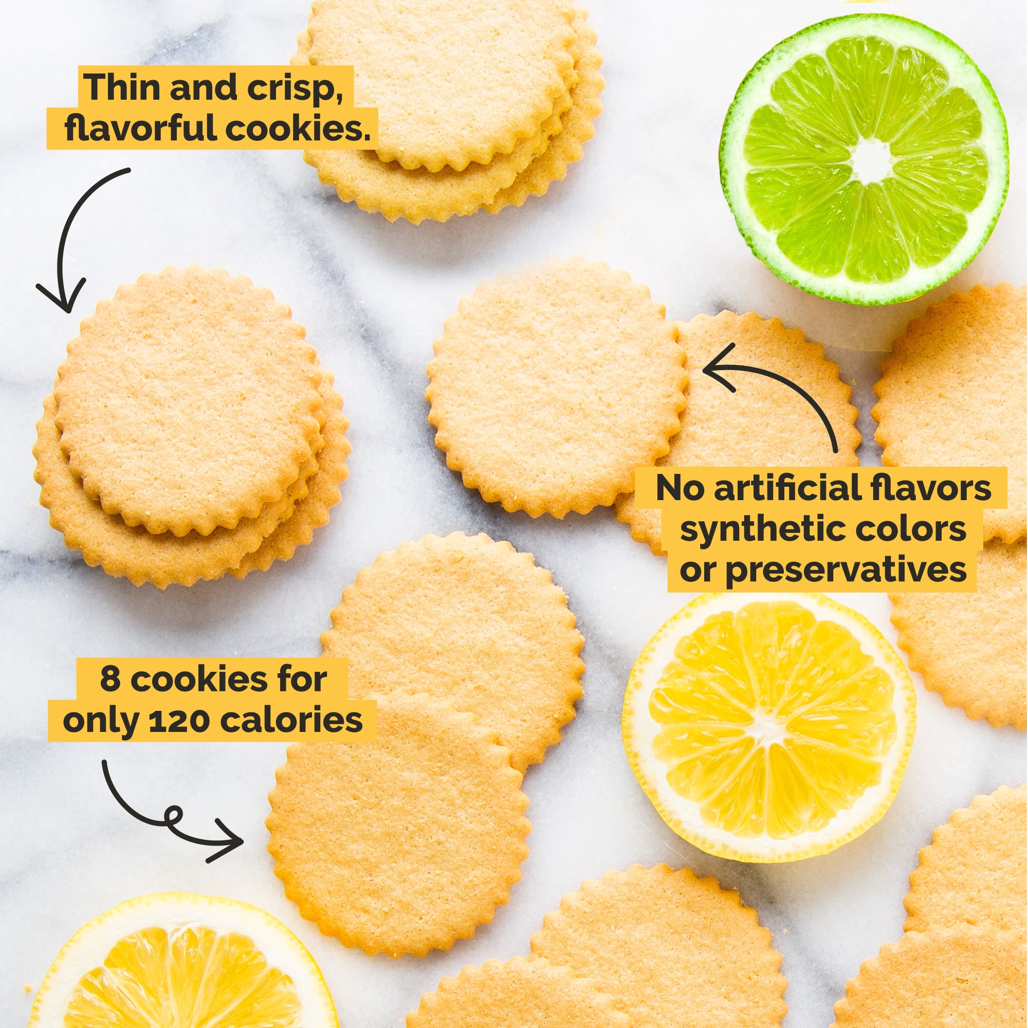 Meyer Lemon and Key Lime Moravian Cookie Gift Tin