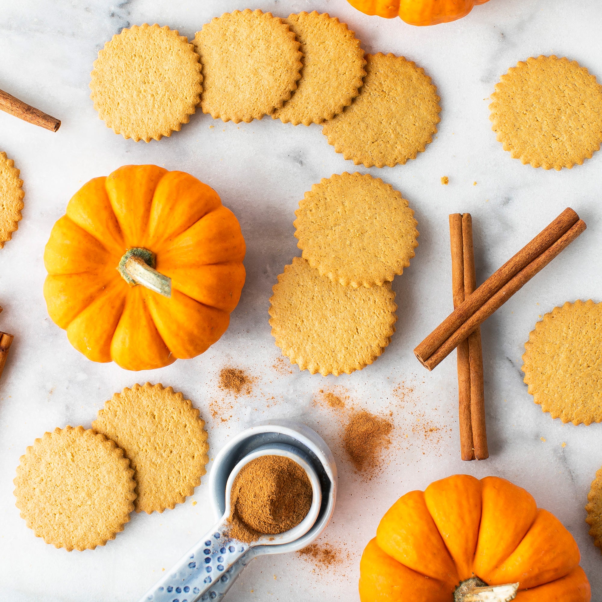 Pumpkin Spice Moravian Cookie Gift Tin